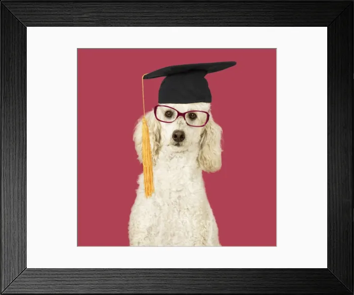 Framed Print : Picture No. 11982329