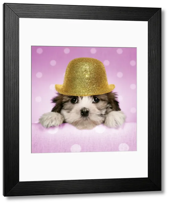 Framed Print : Picture No. 11982330 Framed Print : Picture No. 11982330