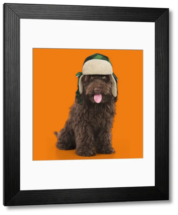 Framed Print : Picture No. 11982331 Framed Print : Picture No. 11982331