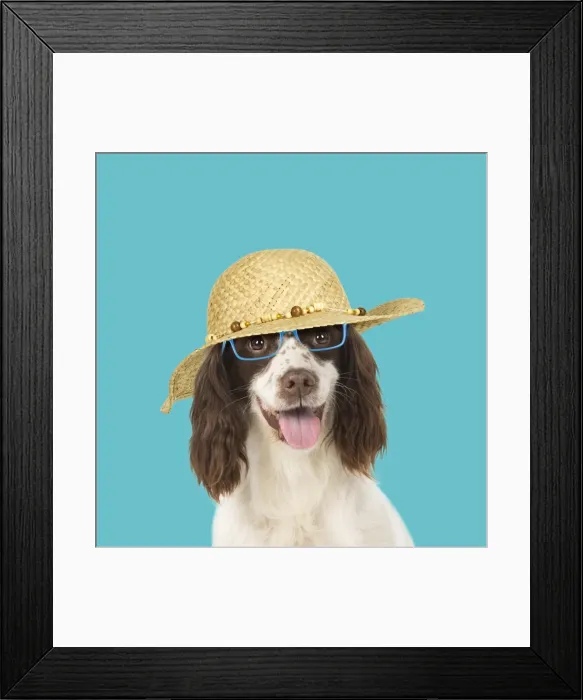 Framed Print : Picture No. 11982333 Framed Print : Picture No. 11982333