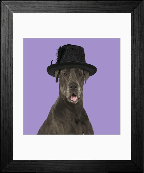 Framed Print : Picture No. 11982336 Framed Print : Picture No. 11982336