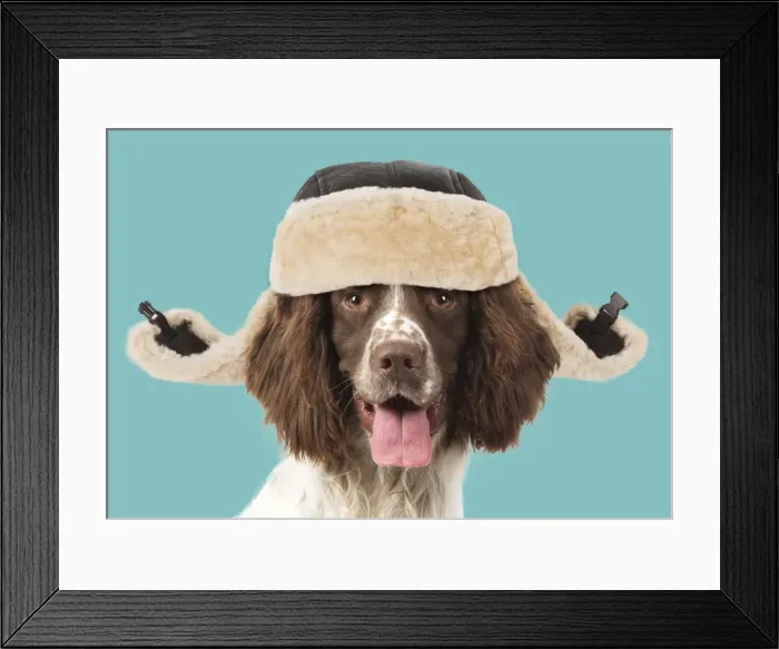 Framed Print : Picture No. 11982339 Framed Print : Picture No. 11982339