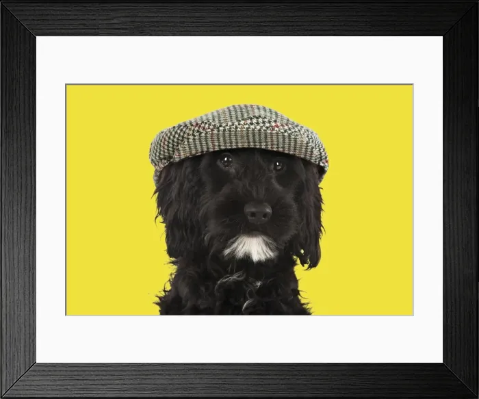 Framed Print : Picture No. 11982340