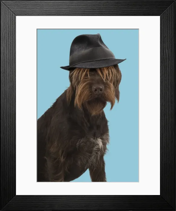 Framed Print : Picture No. 11982344 Framed Print : Picture No. 11982344