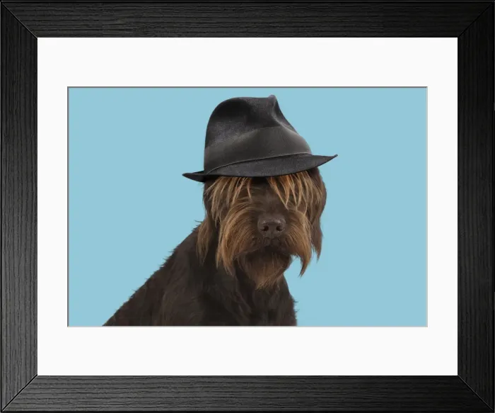 Framed Print : Picture No. 11982345