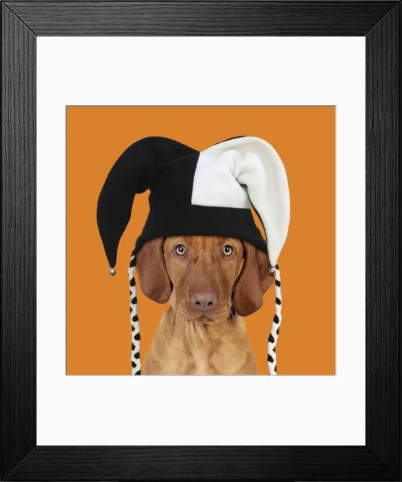 Framed Print : Picture No. 11982347 Framed Print : Picture No. 11982347