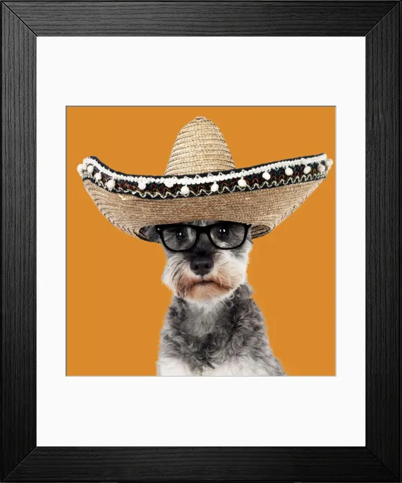 Framed Print : Picture No. 11982349