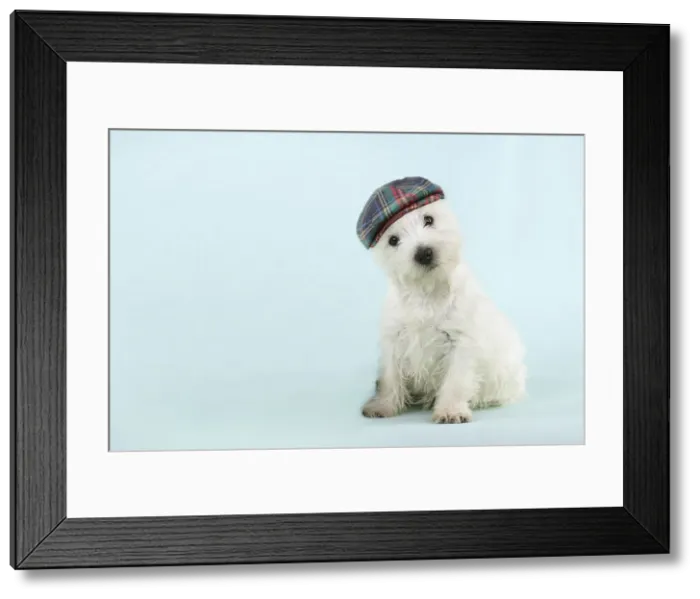 Framed Print : Picture No. 11982353 Framed Print : Picture No. 11982353