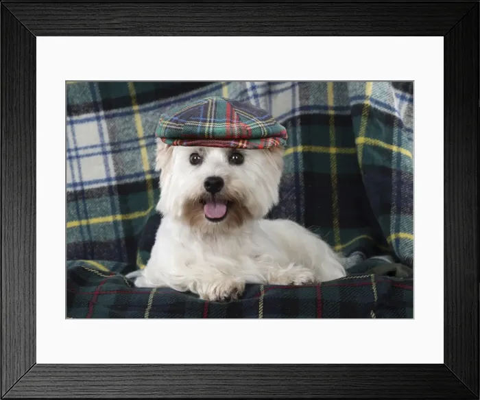 Framed Print : Picture No. 11982354 Framed Print : Picture No. 11982354