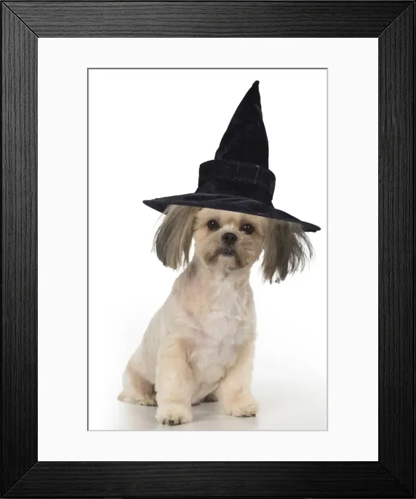 Framed Print : Picture No. 11982355 Framed Print : Picture No. 11982355
