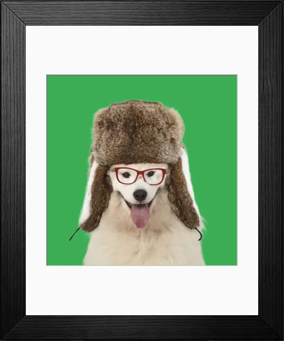 Framed Print : Picture No. 11982361 Framed Print : Picture No. 11982361