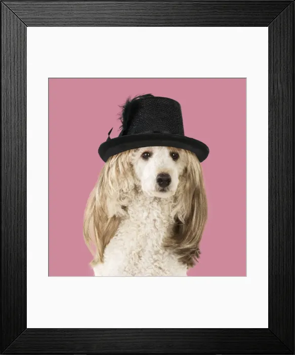 Framed Print : Picture No. 11982362