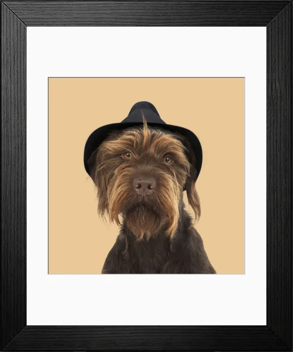 Framed Print : Picture No. 11982366 Framed Print : Picture No. 11982366