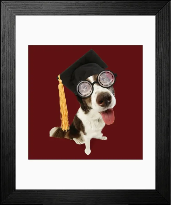 Framed Print : Picture No. 11982373 Framed Print : Picture No. 11982373