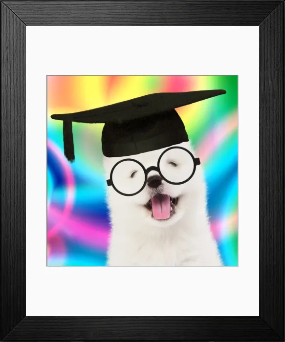 Framed Print : Picture No. 11982374