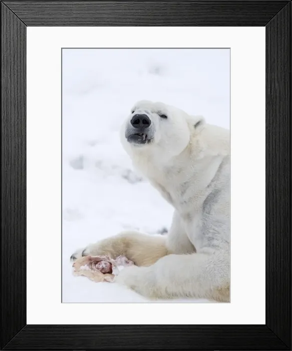 Framed Print : Picture No. 11981815 Framed Print : Picture No. 11981815