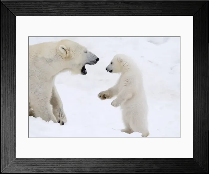 Framed Print : Picture No. 11981824 Framed Print : Picture No. 11981824