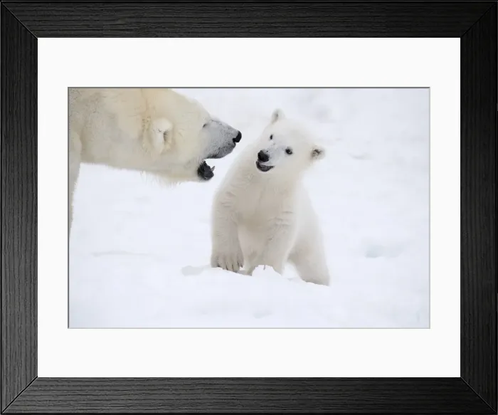 Framed Print : Picture No. 11981826 Framed Print : Picture No. 11981826
