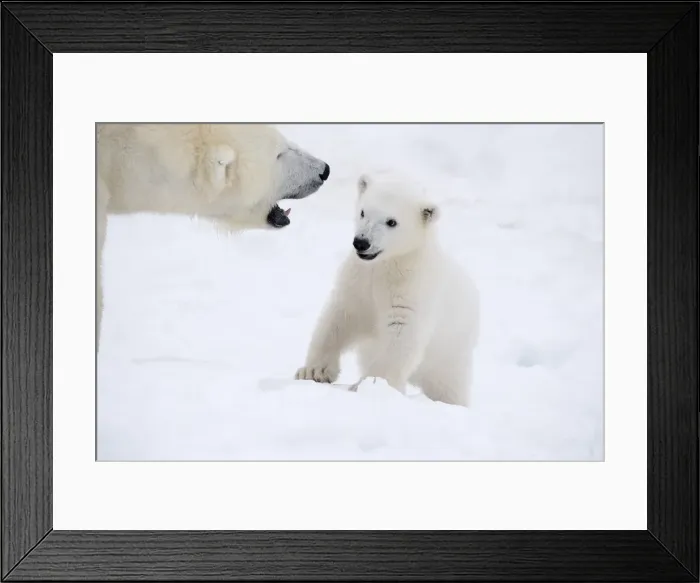 Framed Print : Picture No. 11981827