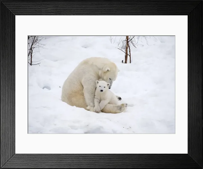 Framed Print : Picture No. 11981829 Framed Print : Picture No. 11981829