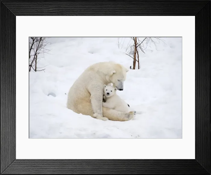 Framed Print : Picture No. 11981830 Framed Print : Picture No. 11981830