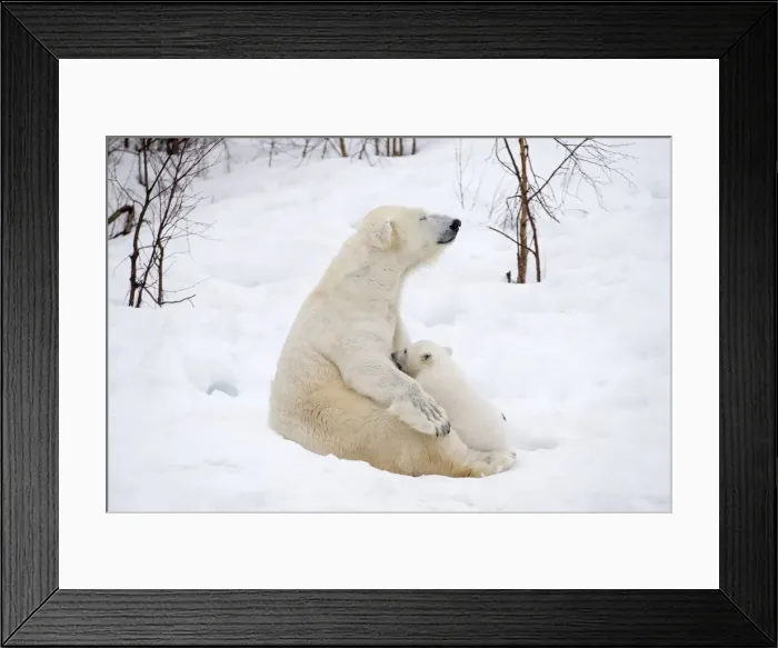 Framed Print : Picture No. 11981831 Framed Print : Picture No. 11981831