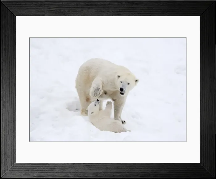 Framed Print : Picture No. 11981832 Framed Print : Picture No. 11981832