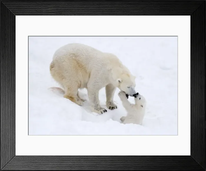 Framed Print : Picture No. 11981836 Framed Print : Picture No. 11981836
