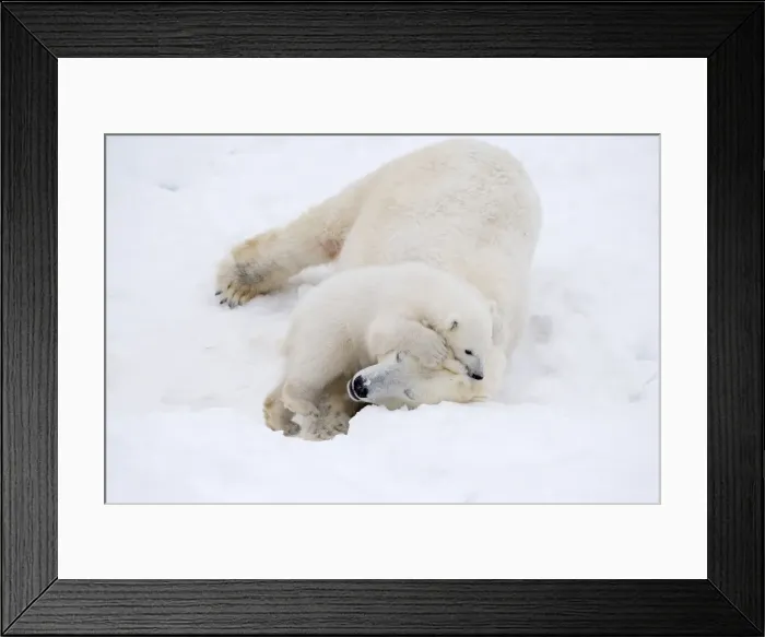 Framed Print : Picture No. 11981837
