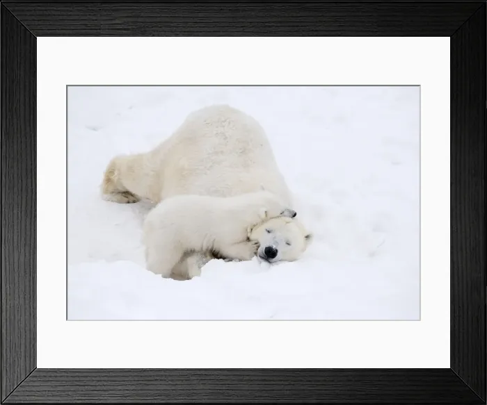 Framed Print : Picture No. 11981838 Framed Print : Picture No. 11981838