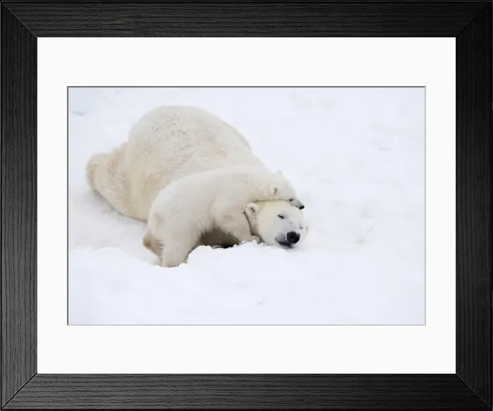 Framed Print : Picture No. 11981839 Framed Print : Picture No. 11981839