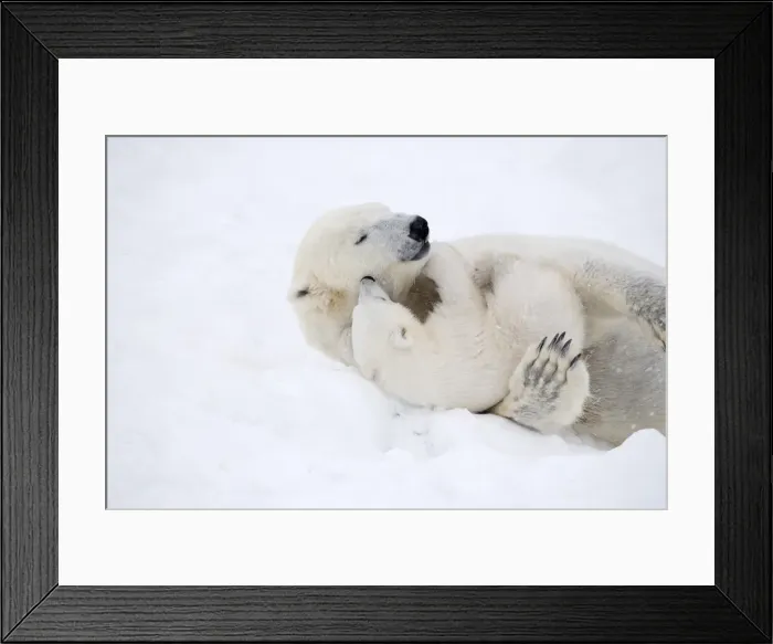 Framed Print : Picture No. 11981840 Framed Print : Picture No. 11981840