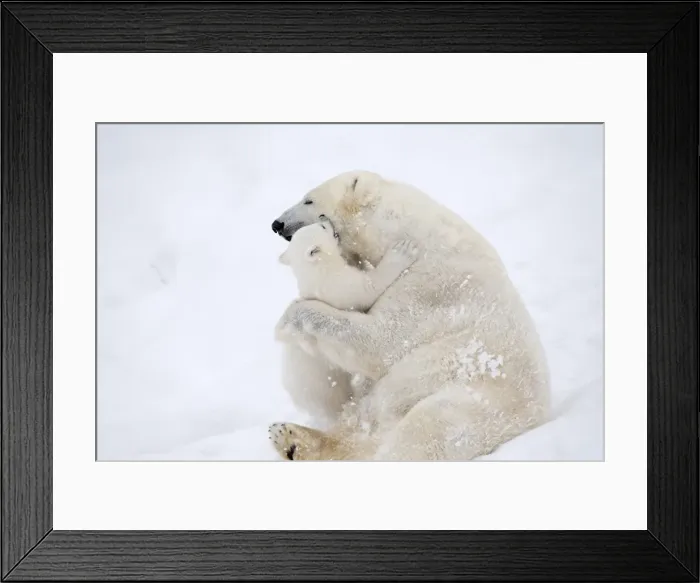 Framed Print : Picture No. 11981854 Framed Print : Picture No. 11981854
