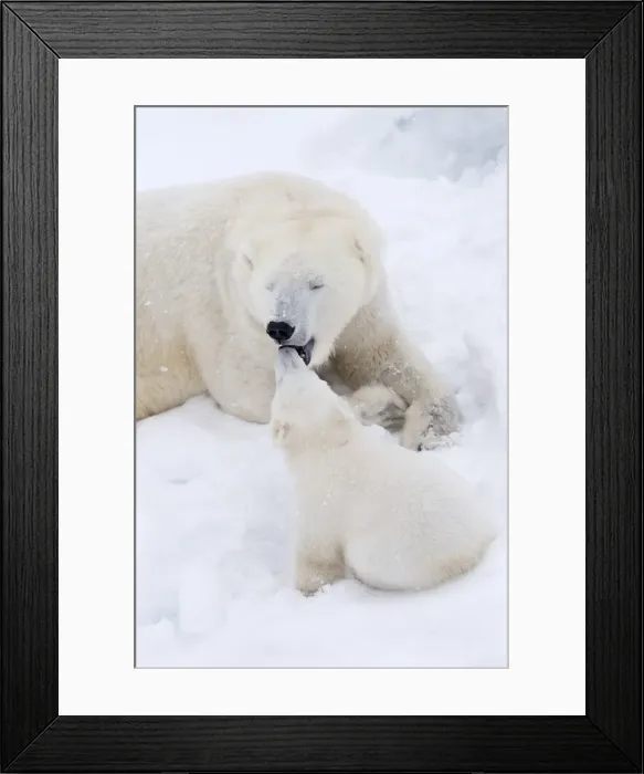 Framed Print : Picture No. 11981855 Framed Print : Picture No. 11981855