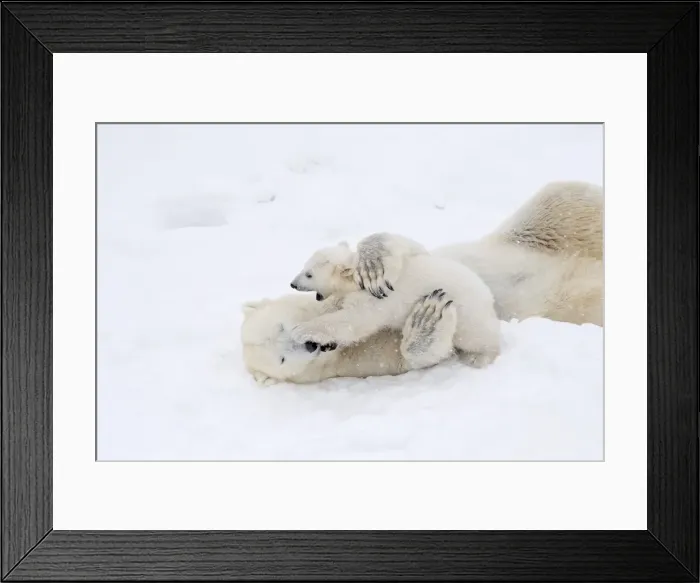 Framed Print : Picture No. 11981858 Framed Print : Picture No. 11981858