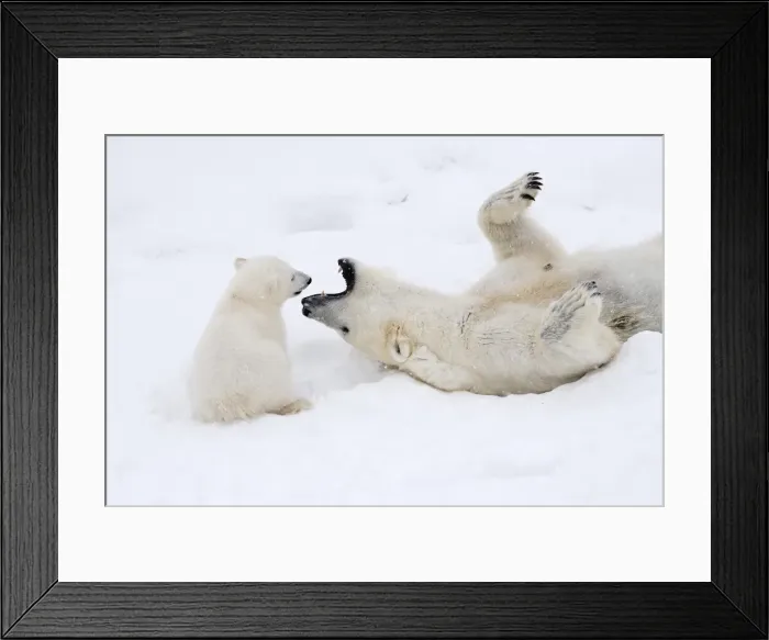 Framed Print : Picture No. 11981860 Framed Print : Picture No. 11981860