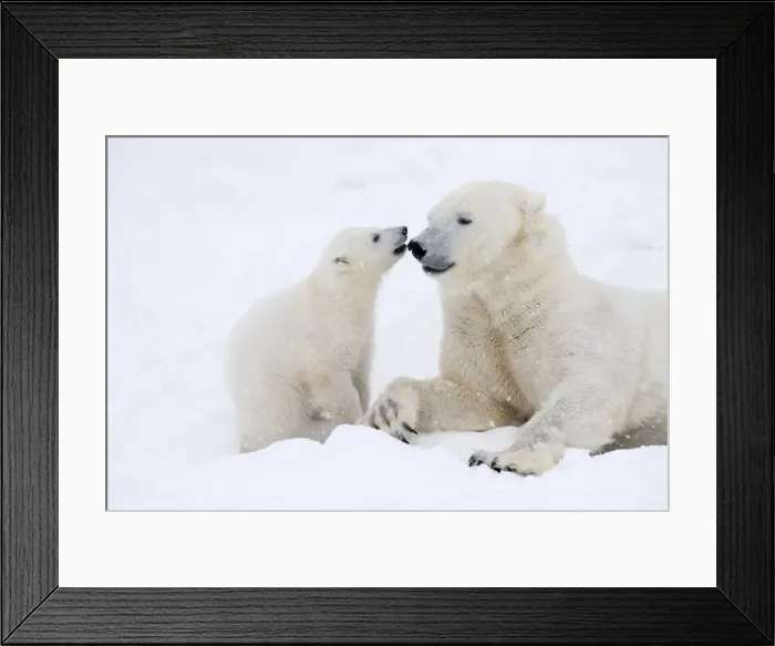 Framed Print : Picture No. 11981863 Framed Print : Picture No. 11981863