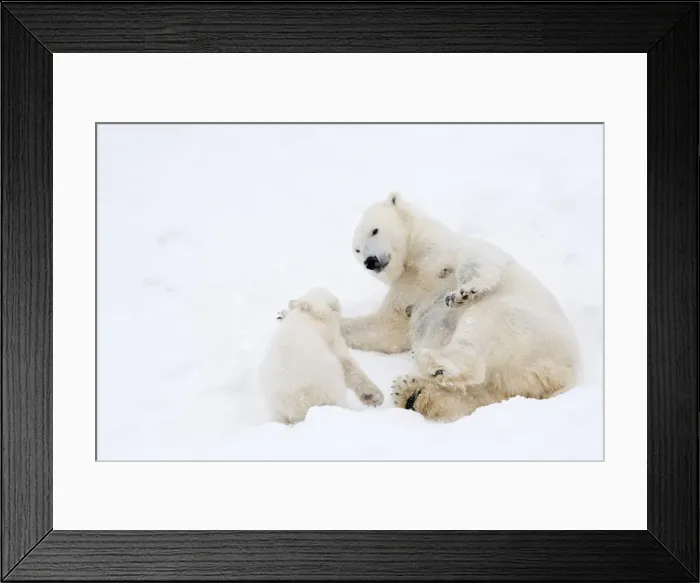 Framed Print : Picture No. 11981868 Framed Print : Picture No. 11981868