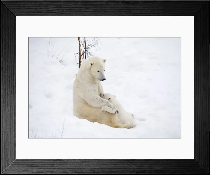 Framed Print : Picture No. 11981870 Framed Print : Picture No. 11981870