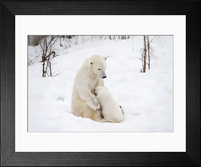Framed Print : Picture No. 11981871 Framed Print : Picture No. 11981871