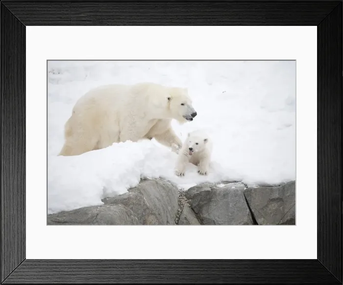 Framed Print : Picture No. 11981877 Framed Print : Picture No. 11981877