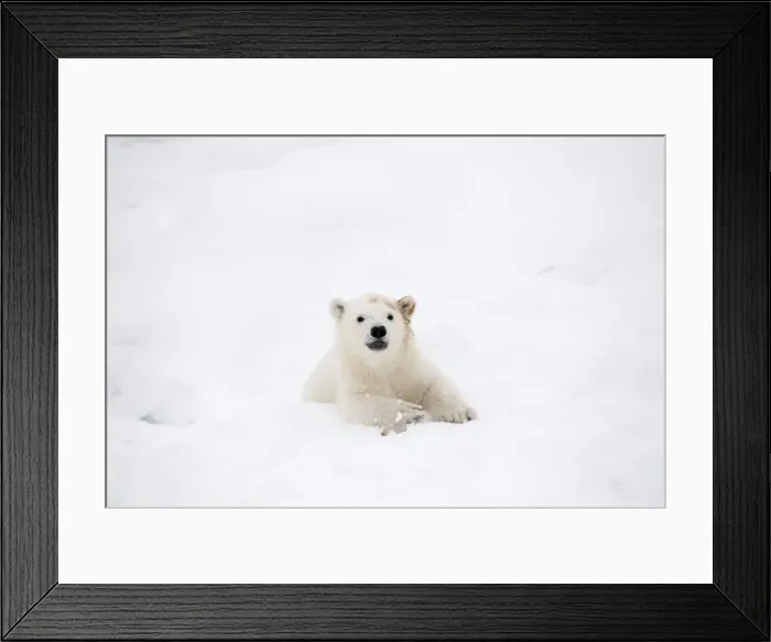 Framed Print : Picture No. 11981886 Framed Print : Picture No. 11981886