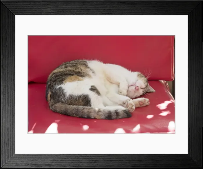 Framed Print : Picture No. 11981911 Framed Print : Picture No. 11981911