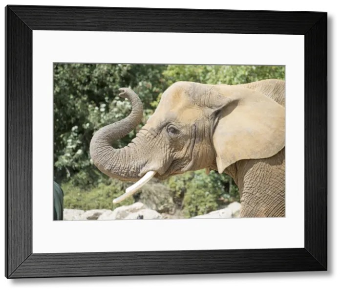 Framed Print : Picture No. 11981913 Framed Print : Picture No. 11981913