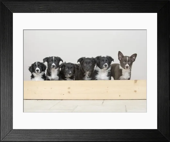 Framed Print : Picture No. 11981931 Framed Print : Picture No. 11981931