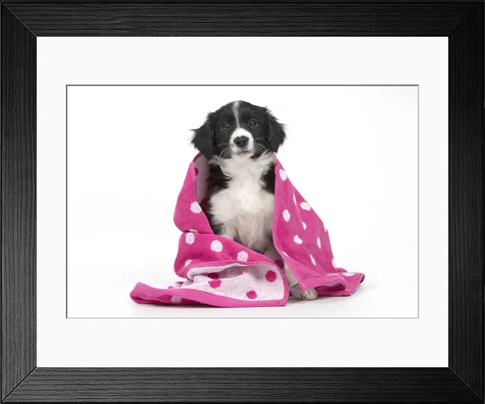 Framed Print : Picture No. 11981933 Framed Print : Picture No. 11981933