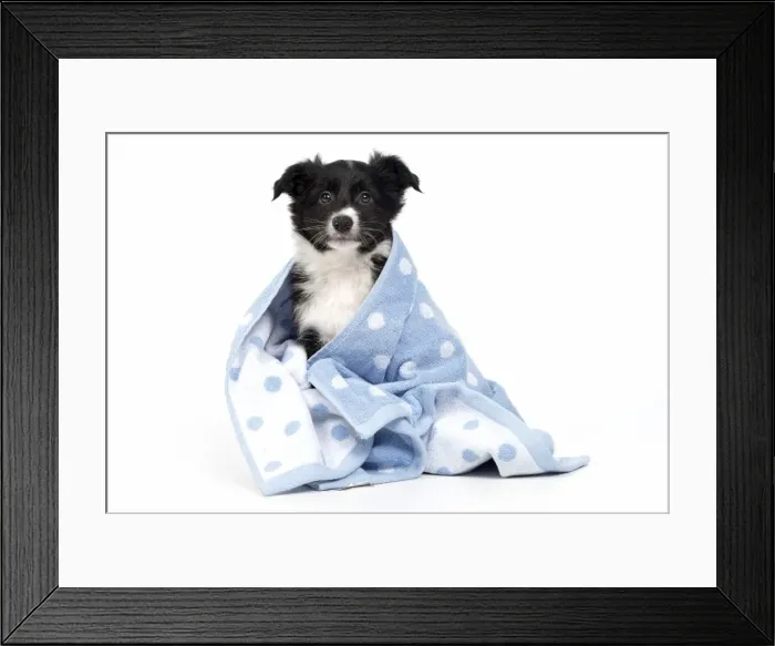 Framed Print : Picture No. 11981936 Framed Print : Picture No. 11981936