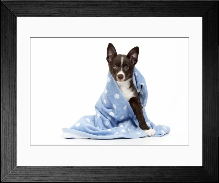 Framed Print : Picture No. 11981937 Framed Print : Picture No. 11981937