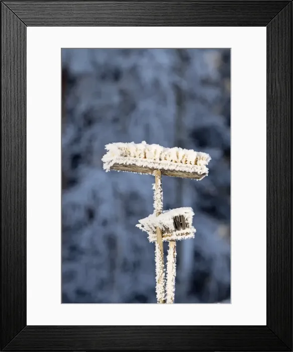 Framed Print : Picture No. 11981940