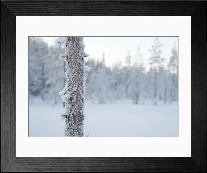 Framed Print : Picture No. 11981942 Framed Print : Picture No. 11981942